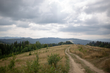 A winding dirt road through a grassy landscape under a cloudy sky, with mountain views.