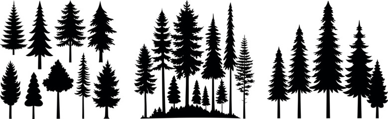 Fototapeta premium Pine Trees Collection – Conifer Tree Silhouettes on White Background Bundle