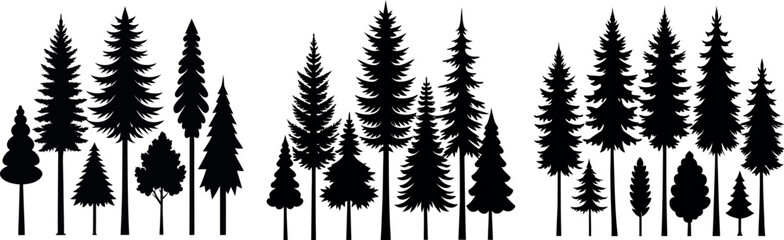 Naklejka premium Pine Tree Silhouette – Black and White Evergreen with Layered Branches and Symmetrical Shape