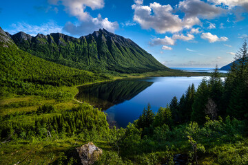 Fototapety na wymiar - Fototapeta24.pl