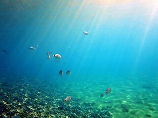 filtra un raggio di sole nel fondale di capo calavà 600