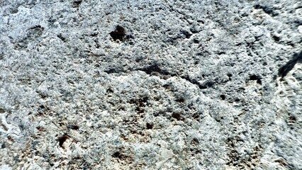 rough gray stone surface with porous texture and natural weathered details ideal for background or design overlay