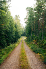 Swedish Wilderness Landscape &ndash; Untouched Nature and Forests