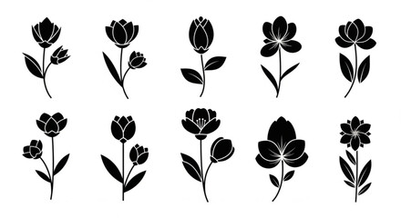 Floral Vector Set, Black Flower Silhouettes on White, Botanical Illustration