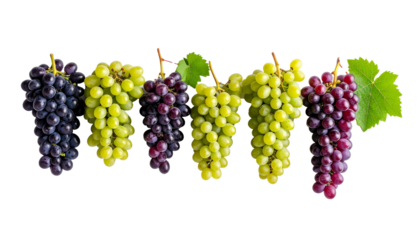 Five bunches of fresh grapes hanging on transparent background
