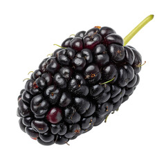Single ripe black mulberry isolated on transparent background