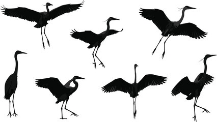 Crane bird silhouettes flying and standing, elegant heron stork egret illustration, wild bird vector, Asian art crane design, Japanese wildlife drawing, nature animal clipart set