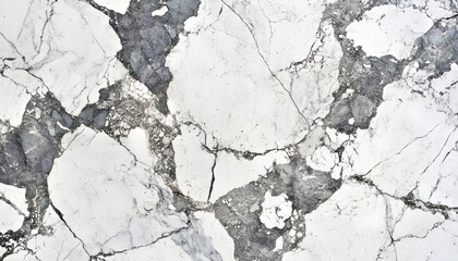Obraz premium A white and gray stone with cracks and holes. The stone is large and has a rough texture