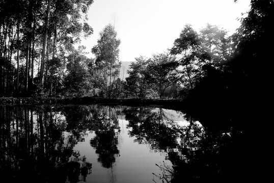 black and white photograph of the lake at dawn