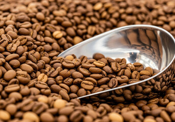 Roasted coffee beans spread across a surface, highlighting rich brown tones, texture, and aroma in a detailed macro shot.