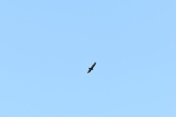 Marais Kingsbury 15 Août 2025