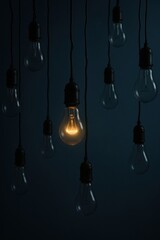 Illuminated light bulb among unlit bulbs in dark atmosphere