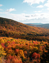 autumn landscape in the mountains