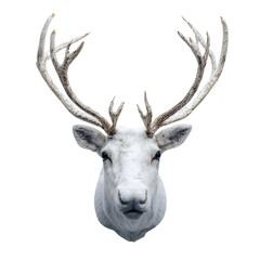 Cute Reindeer Head with Antlers Christmas Illustration