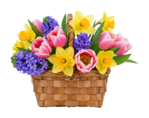 Colorful spring flower basket arrangement indoor display floral art bright and cheerful atmosphere isolated on transparent background