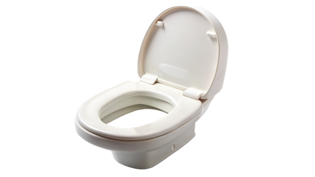 toilet seat on white background