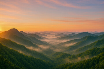 Mountain Valley Covered in Forest at Sunrise with Morning Fog