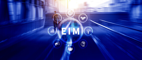 EIM Enterprise information management system, EIM Global Network with Analyzing Technological Data, Efficient Information Management, Network Connection.