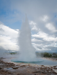 geyser in yellowstone