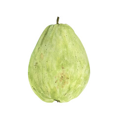 Watercolor illustration of fresh chayote squash isolated on white background. Hand painted in botanical style. Perfect for food packaging, kitchen prints, cookbooks, or organic market branding