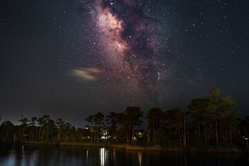 A breathtaking view of the Milky Way rising above a forest lake. Reflections of the stars and subtle night clouds create a magical, dreamy atmosphere. Perfect for astronomy lovers 