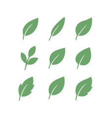 Botanical Leaf Silhouettes Set &ndash; Minimalist Nature Icons Collection