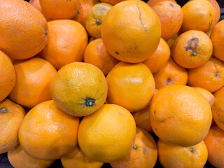 A bunch of oranges are piled up on top of each other. The oranges are all different sizes and are all orange in color