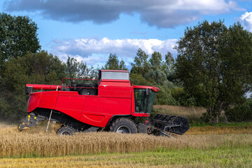 combine harvester on wheat field © talavietis