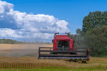Obraz premium combine harvester working on a field