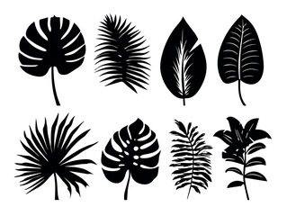Tropical leaves vector illustration of different types of foliage silhouette design element