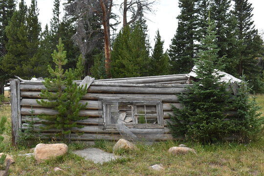 Log Cabin in the woods