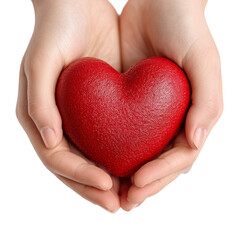 Obraz premium Red heart in hands concept for love care donation and valentines day isolated on transprint background