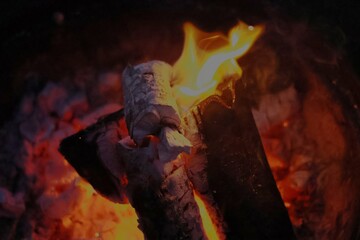 Burning Wood Logs with Glowing Embers