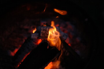 Burning Wood Logs with Glowing Embers