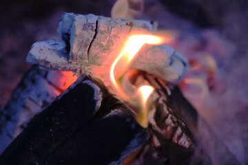 Charred Logs with Glowing Purple and Pink Embers