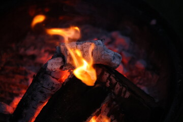 Burning Wood Logs with Glowing Embers