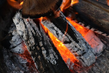 Charred Logs with Grey Ash and Flames