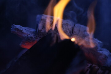 Charred Logs with Glowing Purple and Pink Embers