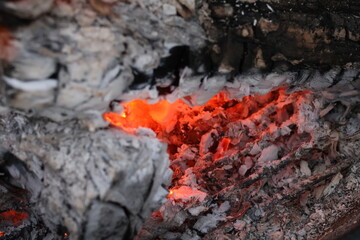 Charred Logs with Grey Ash and Flames