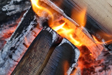 Charred Logs with Grey Ash and Flames