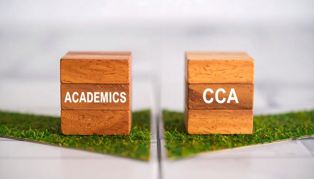 Wooden blocks stacked on grass depicting academics and cca.