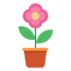 pink flower in pot