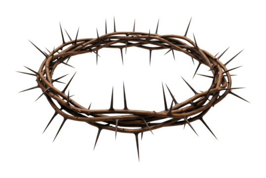 Symbolic representation of suffering thorn crown on display religious art studio environment spiritual concept isolated on transparent background