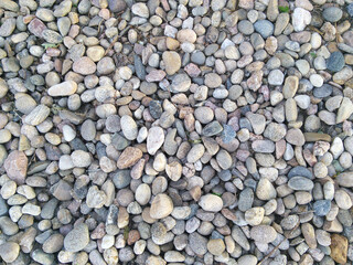 Textures & Patterns