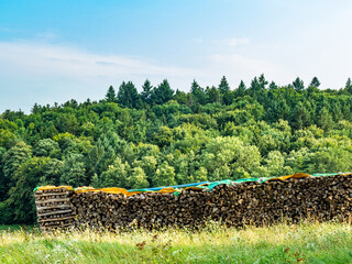 Brennholzlager im Freien © focus finder