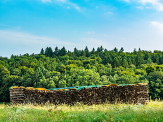 Brennholzlager im Freien © focus finder