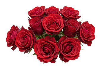 Obraz premium Bouquet of red roses floral arrangement studio vibrant colors romance and love isolated on transparent background