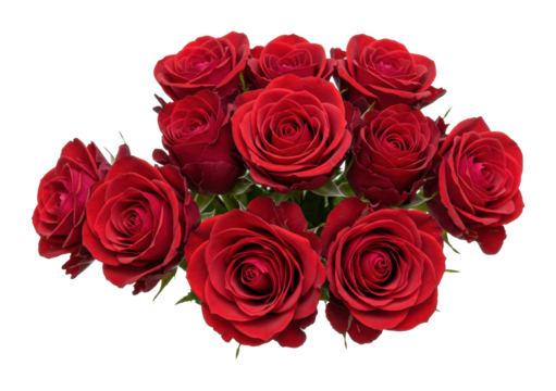Bouquet of red roses floral arrangement studio vibrant colors romance and love isolated on transparent background