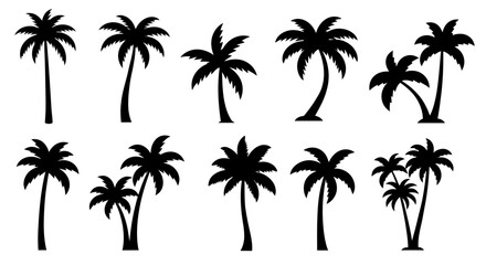 Collection of twelve vector palm tree silhouettes, perfect for adding a tropical touch to your designs; available as high-resolution PNG files, ideal for various projects and applications.