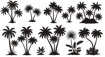 A collection of diverse tropical palm tree and exotic plant silhouettes, rendered as versatile black vector graphics for design projects.